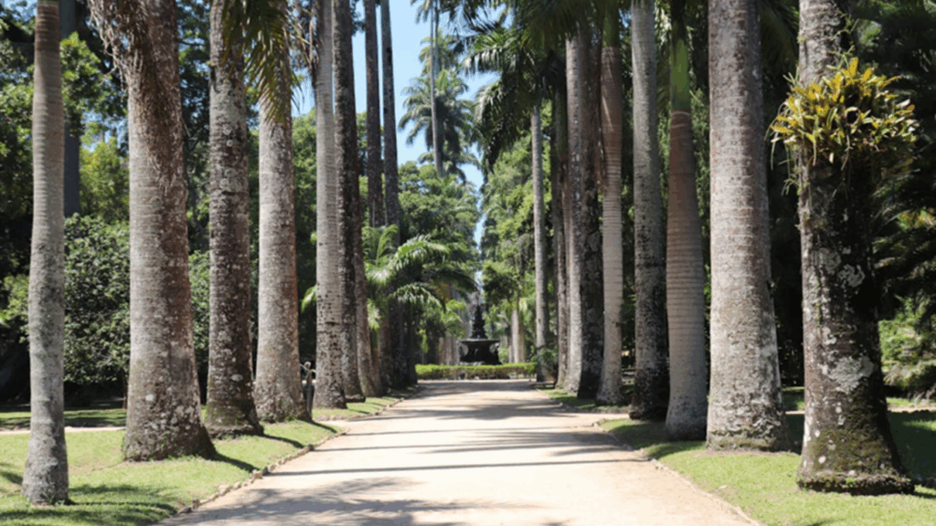 Tijuca National Park in Rio de Janeiro – nature and hiking on a 5-day itinerary