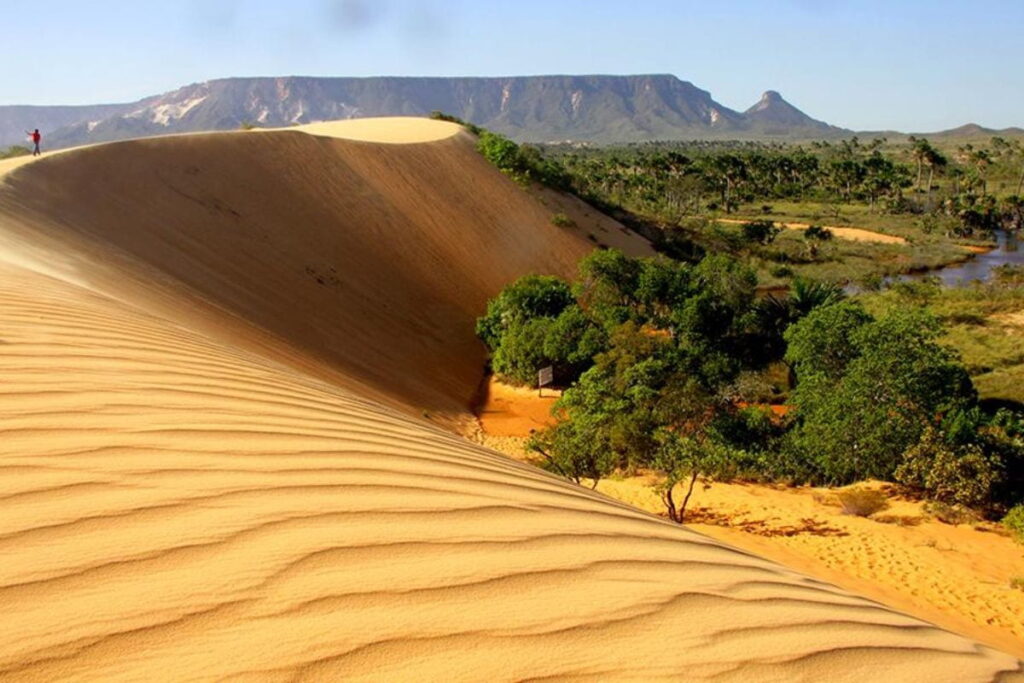 vast orange dunes in little explored territory