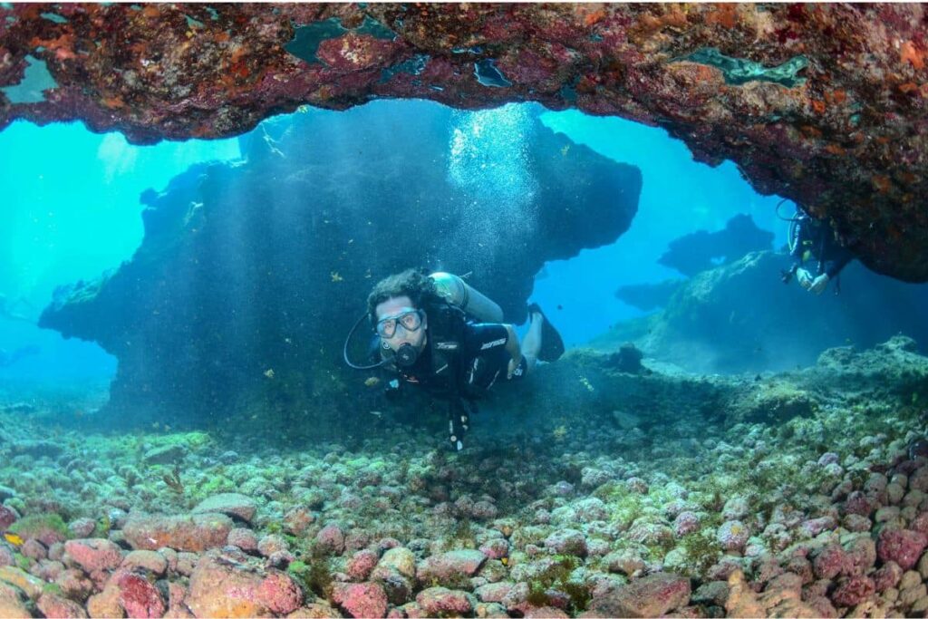 Fernando de Noronha travel guide: The best places to dive with sea turtles.