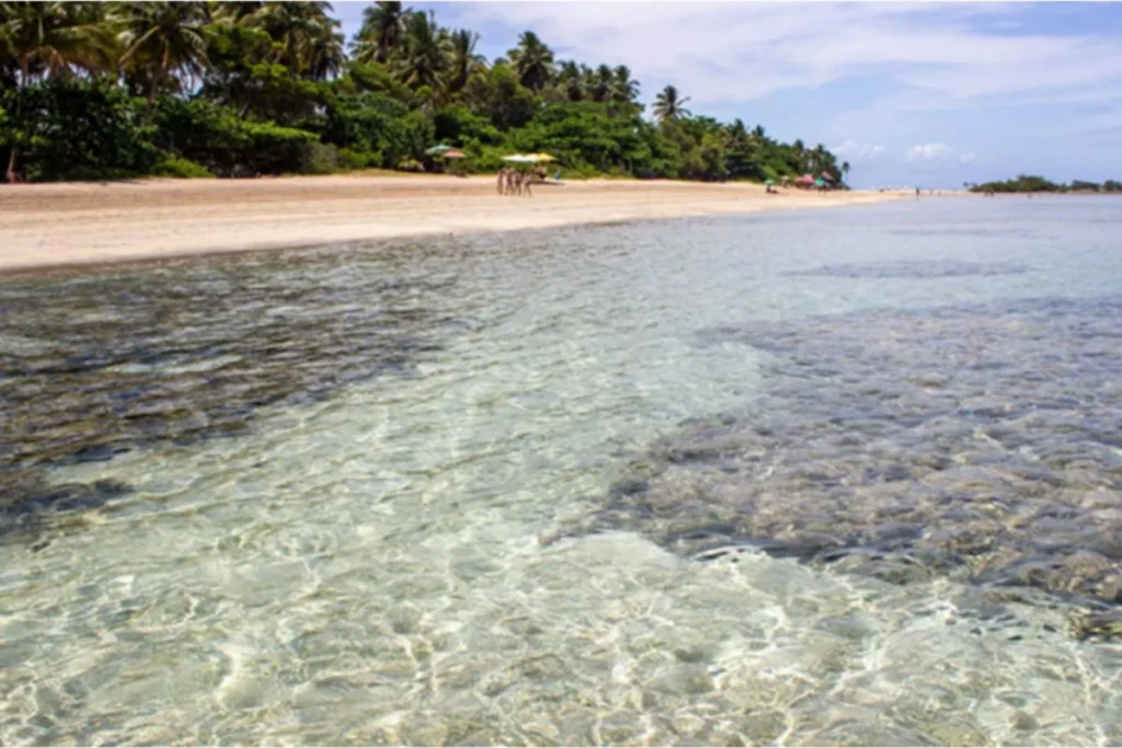 Palm trees and calm sea at Morro de São Paulo – island escape in Northeast Brazil