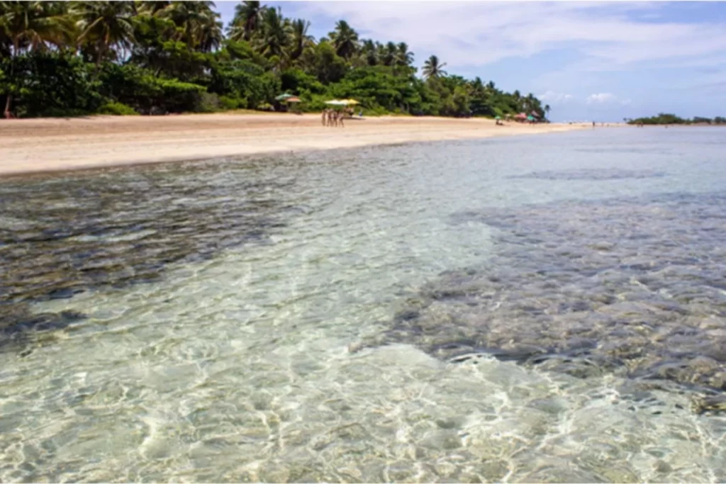 Palm trees and calm sea at Morro de São Paulo – island escape in Northeast Brazil