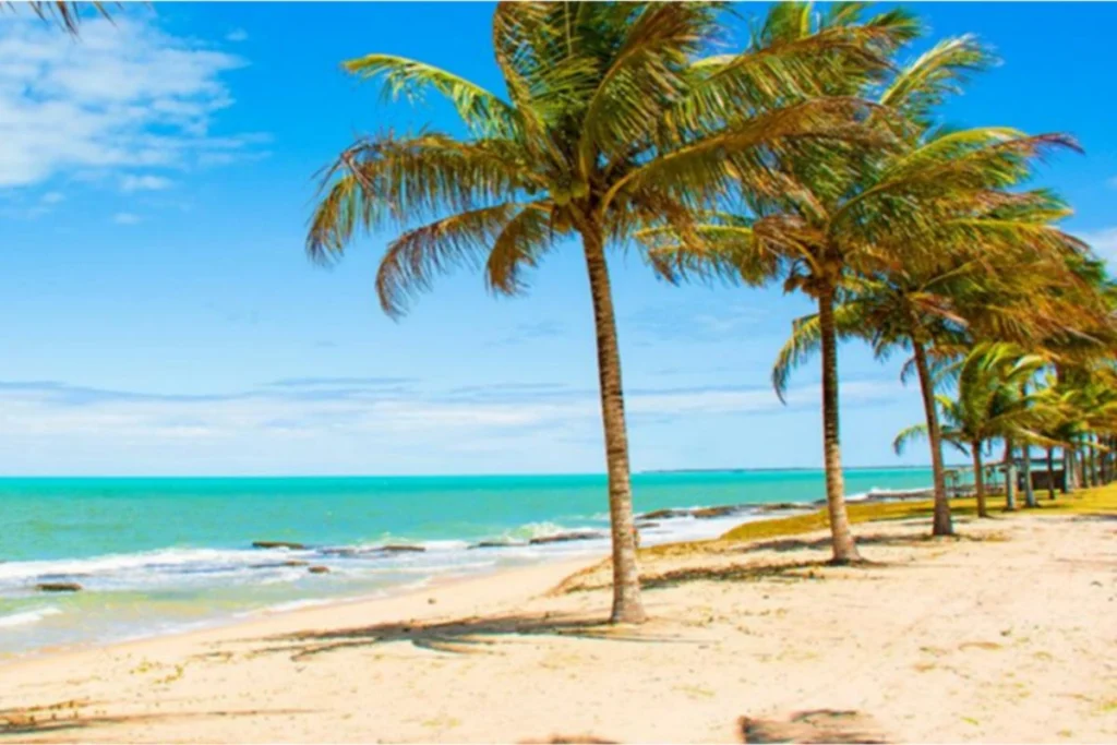 Rustic fishing boats at Praia de Caraíva – peaceful retreat in Northeast Brazil