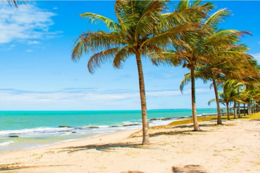 Rustic fishing boats at Praia de Caraíva – peaceful retreat in Northeast Brazil