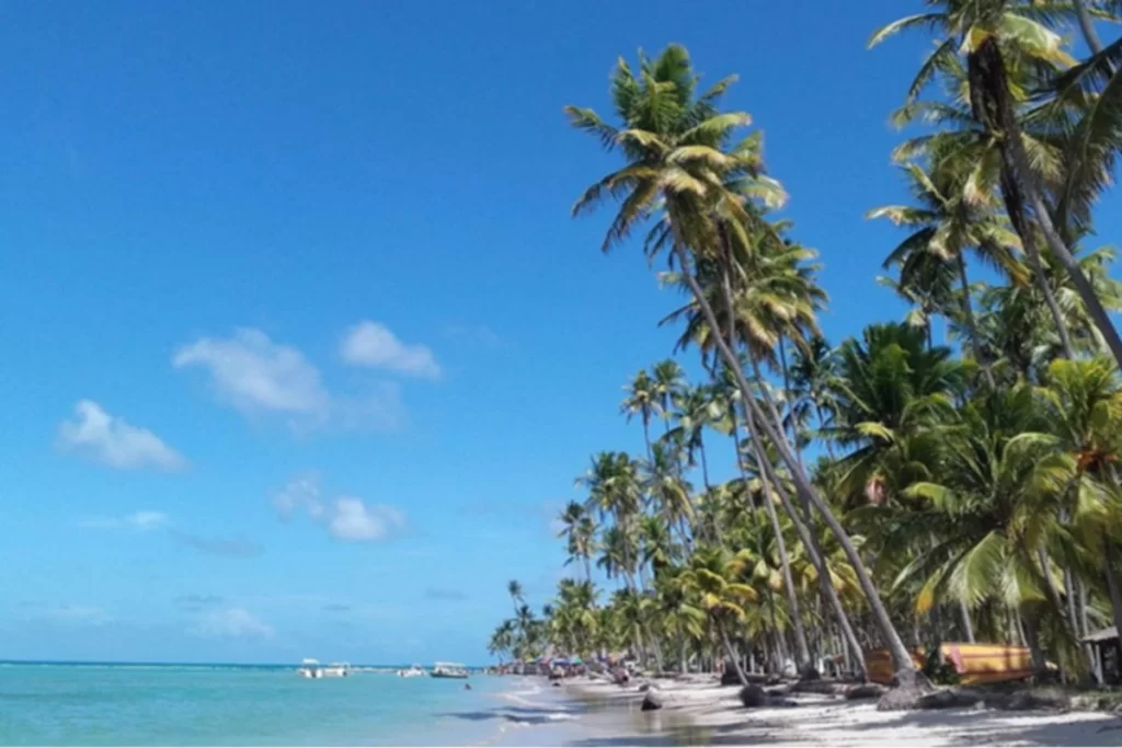 Beach chapel and palm-lined coast at Praia dos Carneiros – romantic beach in Northeast Brazil