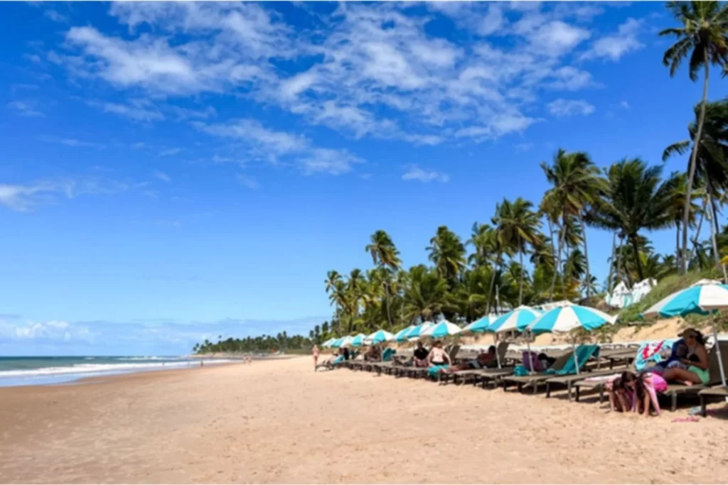 Sea turtle conservation area and beach at Praia do Forte – eco-friendly beach in Northeast Brazil