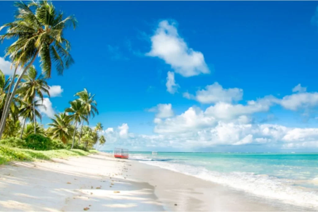 Deserted shoreline and coconut palms at Praia do Patacho – quiet tropical beach in Northeast Brazil