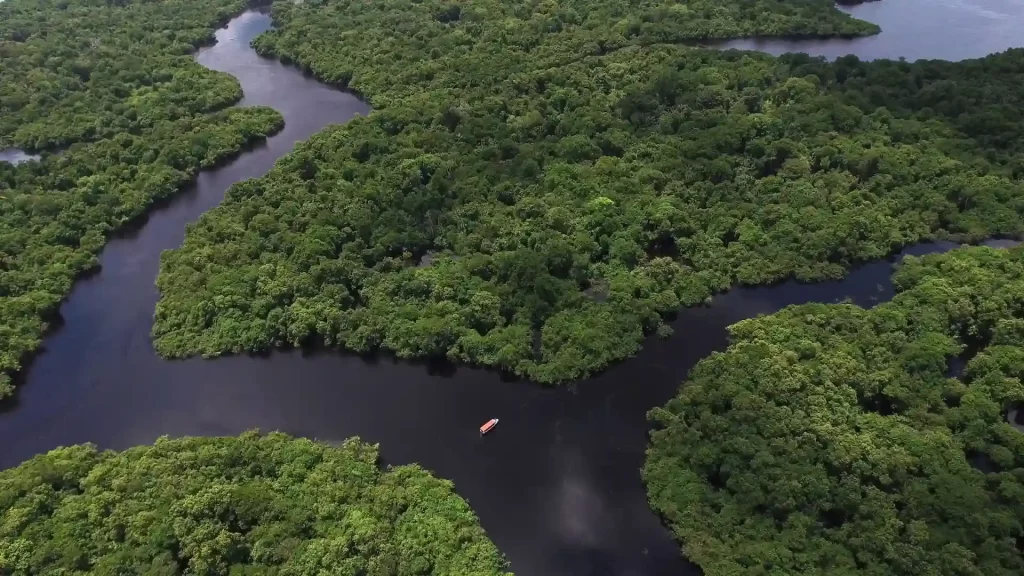 Aerial view of the Amazon Rainforest with a winding river cutting through dense green canopy