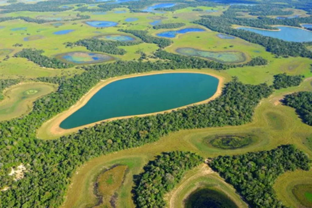 Scenic view of the Brazilian Pantanal wetlands during dry season wildlife tour