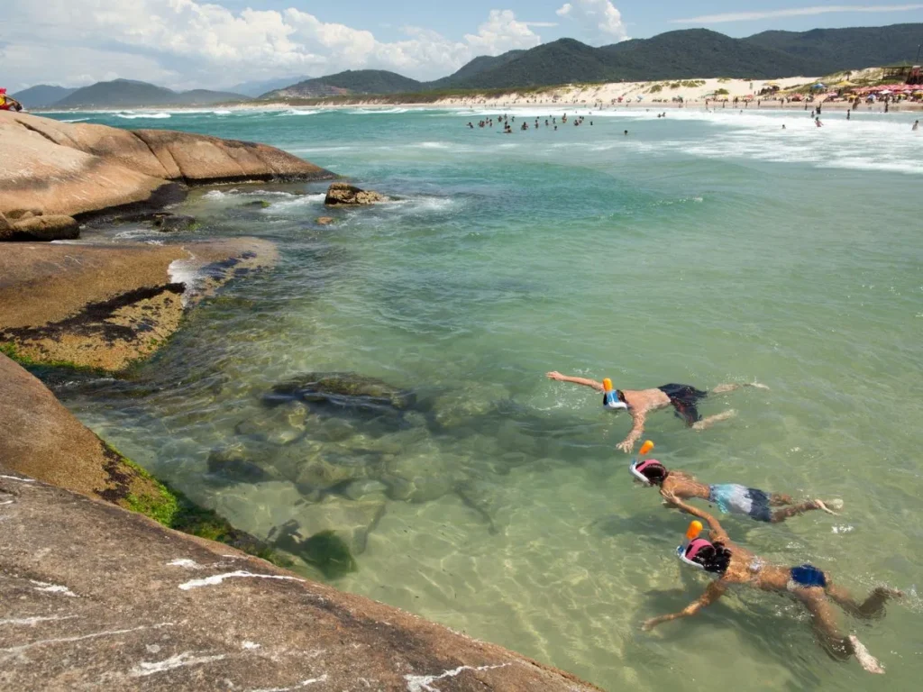 Snorkelers in the natural rock pool at Joaquina Beach, Florianópolis